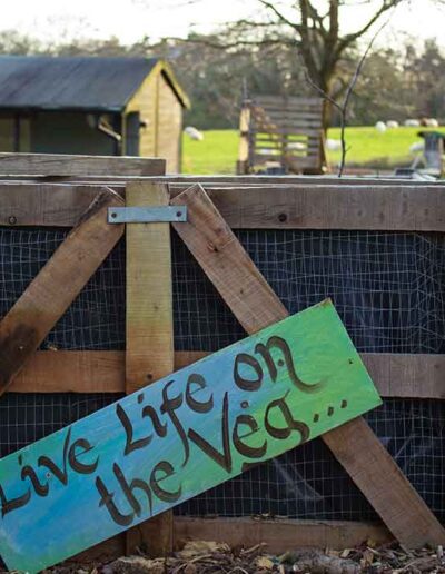 Live Life On The Veg HOPE Sussex Community